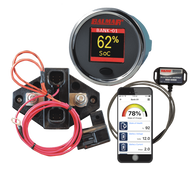 SG210 - Battery Monitor Kit, 12V-48V, with Gateway and Display