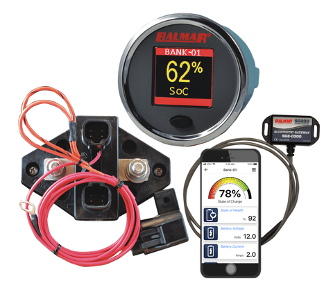 SG210 - Battery Monitor Kit, 12V-48V, with Gateway and Display