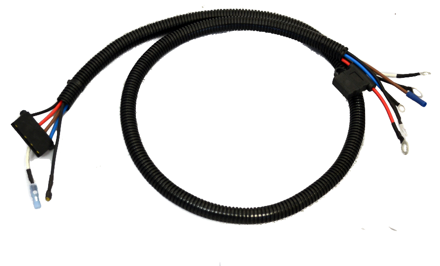 Wiring Harness, 70,97,98 Series, 12v, Ring Terminals on Field/Stator Plug